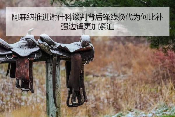 阿森纳推进谢什科谈判背后锋线换代为何比补强边锋更加紧迫